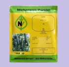 فروش بذر خیار زمستانه نیکرسون بذر در کرمان  در گروه خرید و فروش بذر خیار در یکمیوه