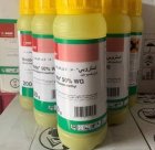 فروش سم قارچ کش استروبی BASF در کرمان  در گروه خرید و فروش انواع سم در یکمیوه