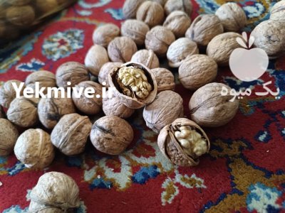 گردو تازه الموت قزوین در بیدستان در گروه خرید و فروش گردو در یکمیوه -عکس1