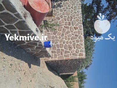 اجرای سنگ لاشه قیومی سنگ مالون در پردیس در گروه سازنده در یکمیوه -عکس3