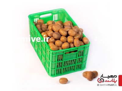 سبد 20 کیلویی کیوی تالش در چوبر در گروه خرید و فروش انواع سبد در یکمیوه -عکس1