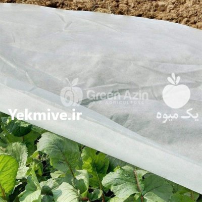 فوم های پیشرفته جلوگیری از سرمازدگی در مشهد در گروه خرید و فروش انواع پوشش ها در یکمیوه -عکس1