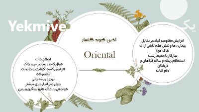 فروش ویژه گوگرد مایع غنی شده در اصفهان در گروه خرید و فروش کود گوگرد در یکمیوه -عکس1