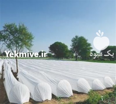 کاور های مقاوم ضد سرما در تبریز در گروه خرید و فروش انواع پوشش ها در یکمیوه -عکس1