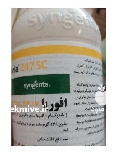 سم حشره کش ایفوریا در آبسرد در گروه خرید و فروش انواع سم در یکمیوه -عکس1