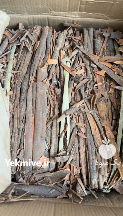 دارچین در تهران در گروه خرید و فروش ادویه در یکمیوه -عکس2