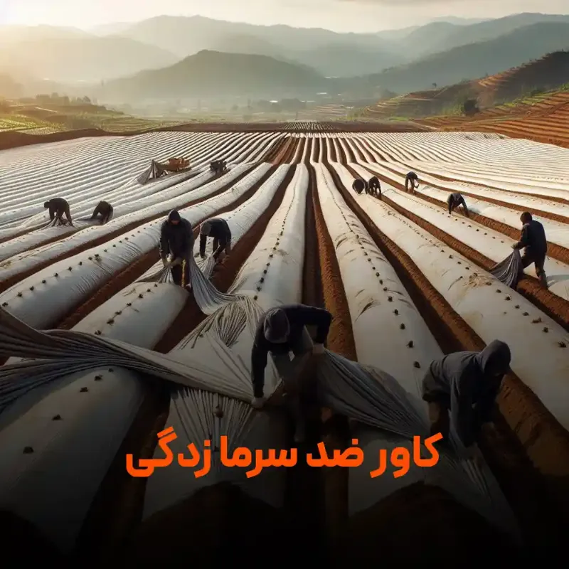 کاور کشاورزی در سنندج در کردستان در گروه خرید و فروش بسته بندی نایلونی در یکمیوه -عکس1