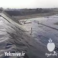 قیمت خرید تولید و اجرای ورق در اهواز در گروه خرید و فروش ژئوممبران و ژئوتکستایل در یکمیوه