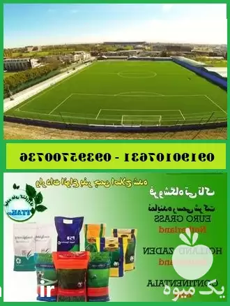 انواع بذر چمن سردسیری و گرمسیری در تهران در گروه خرید و فروش بذر چمن در یکمیوه -عکس1