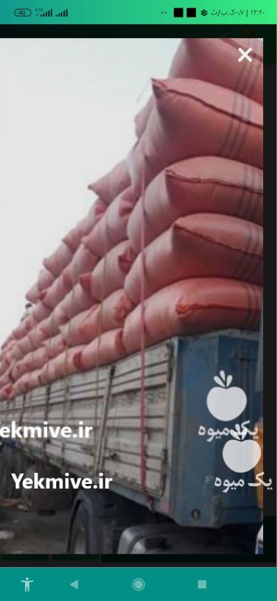 فروش کاه گندم جو در خرمدره در گروه خرید و فروش گندم و جو در یکمیوه -عکس1