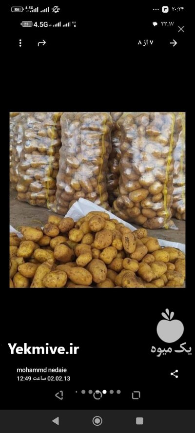 خرید محصولات کشاورزی در همدان در گروه خرید و فروش محصولات کشاورزی در یکمیوه -عکس1