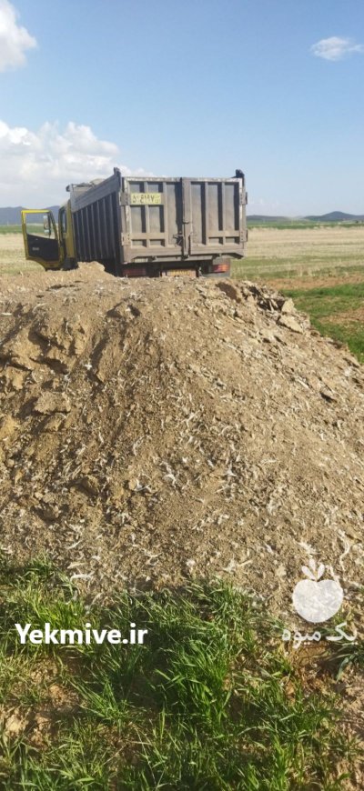 خرید محصولات کشاورزی در همدان در گروه خرید و فروش محصولات کشاورزی در یکمیوه -عکس2
