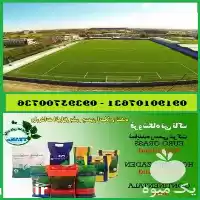 انواع بذر چمن سردسیری و گرمسیری در تهران در گروه خرید و فروش بذر چمن در یکمیوه