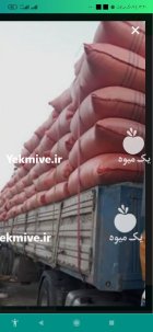 فروش کاه گندم جو در خرمدره در گروه خرید و فروش گندم و جو در یکمیوه