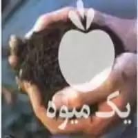 قیمت خرید انواع کود کشاورزی در تهران در گروه خرید و فروش انواع کود کشاورزی در یکمیوه