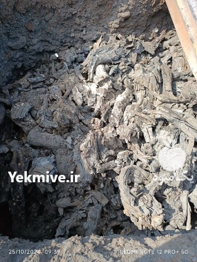 زغال کبابی در جهرم در گروه خرید و فروش زغال در یکمیوه -عکس2