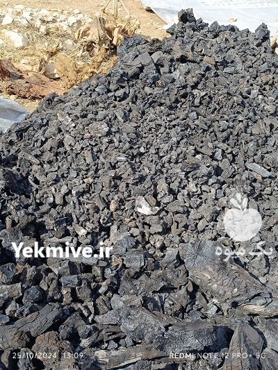 زغال کبابی در جهرم در گروه خرید و فروش زغال در یکمیوه -عکس1