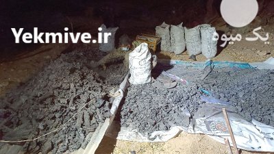 زغال کبابی در جهرم در گروه خرید و فروش زغال در یکمیوه -عکس3