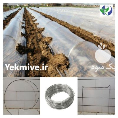 نایلون انواع نایلون قزوین در خرمدره در زنجان در گروه خرید و فروش بسته بندی نایلونی در یکمیوه -عکس1