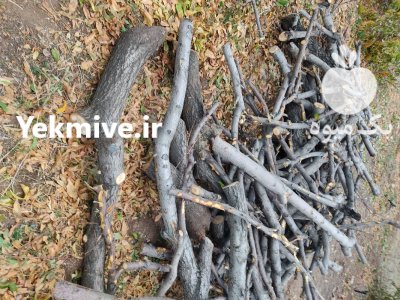 چوب زغالی فروش چوب در بوکان در گروه خرید و فروش انواع چوب در یکمیوه -عکس1