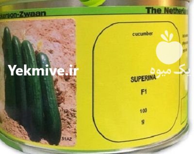 بذر خیار سوپرینا نیکرسون در باجگیران در گروه خرید و فروش بذر خیار در یکمیوه -عکس1