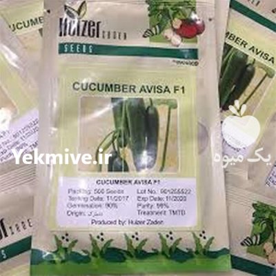 بذر خیار گلخانه ای آویسا در آبعلی در گروه خرید و فروش بذر خیار در یکمیوه -عکس1