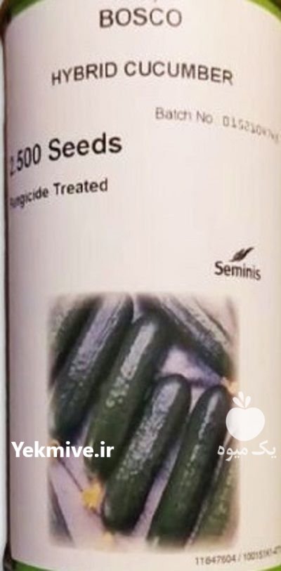 بذر خیار بوسکو سمینیس در باروق در گروه خرید و فروش بذر خیار در یکمیوه -عکس1