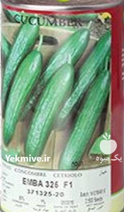 بذر خیار امباامرالد در بوکان در گروه خرید و فروش بذر خیار در یکمیوه -عکس1