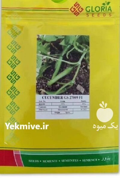 بذر خیار گلوریا 009 در ایذه در گروه خرید و فروش بذر خیار در یکمیوه -عکس1