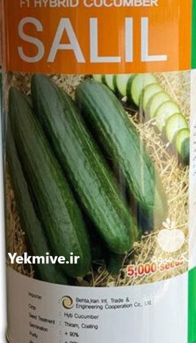 بذر خیار سلیل در برازجان در گروه خرید و فروش بذر خیار در یکمیوه -عکس1