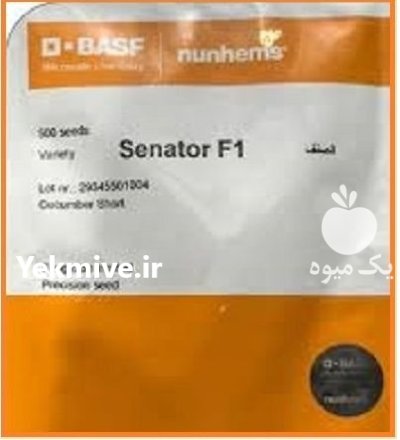 بذر خیار مینی سناتور در بوشهر در گروه خرید و فروش بذر خیار در یکمیوه -عکس1