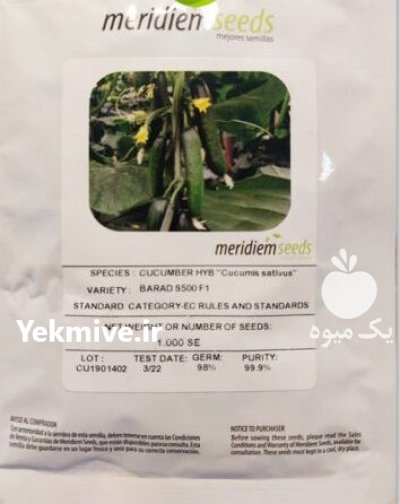 بذر خیار گلخانه ای باراد مریدیم در خضری دشت بیاض در گروه خرید و فروش بذر خیار در یکمیوه -عکس1