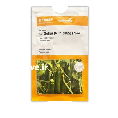 فروش بذر خیار گوهر در سفیددشت در گروه خرید و فروش بذر خیار در یکمیوه -عکس1