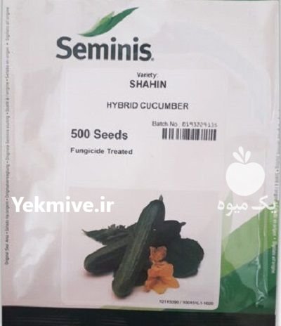بذر خیار گلخانه ای شاهین در حصارگرمخان در گروه خرید و فروش بذر خیار در یکمیوه -عکس1