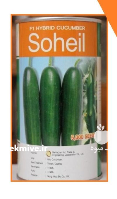بذر خیار سهیل در بایگ در گروه خرید و فروش بذر خیار در یکمیوه -عکس1