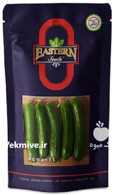 بذر خیار رومان در بومهن در گروه خرید و فروش بذر خیار در یکمیوه -عکس1