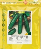 بذر خیار گلوریا 007 در بروجن در گروه خرید و فروش بذر خیار در یکمیوه