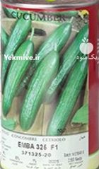 بذر خیار امباامرالد در بوکان در گروه خرید و فروش بذر خیار در یکمیوه