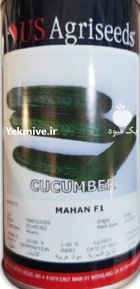 “بذر خیار ماهان Mahan F 1 ” در تیتکانلو در گروه خرید و فروش بذر خیار در یکمیوه