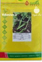 بذر خیار گلوریا 009 در ایذه در گروه خرید و فروش بذر خیار در یکمیوه
