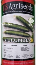 بذر خیار ماکسیموس در اندیشه در گروه خرید و فروش بذر خیار در یکمیوه