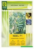 بذر خیار فضای باز بذر خیار در آبعلی در گروه خرید و فروش بذر خیار در یکمیوه