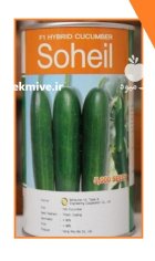 بذر خیار سهیل در بایگ در گروه خرید و فروش بذر خیار در یکمیوه