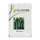 بذر خیار آفیسر کلوز در بیارجمند در گروه خرید و فروش بذر خیار در یکمیوه