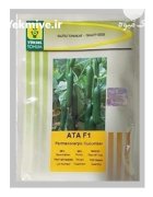 بذر خیار گلخانه ای آتا در بومهن در گروه خرید و فروش بذر خیار در یکمیوه