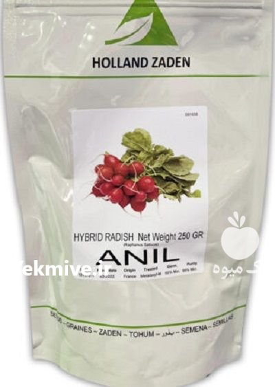 بذر هیبرید تربچه آنیل در اسلامیه در گروه خرید و فروش بذر صیفی جات در یکمیوه -عکس1