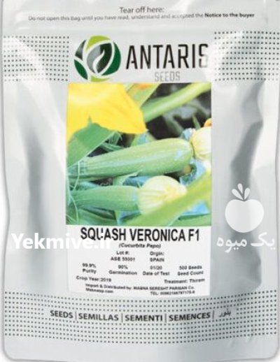 بذر کدو ورونیکا در چهارباغ در گروه خرید و فروش بذر کدو در یکمیوه -عکس1