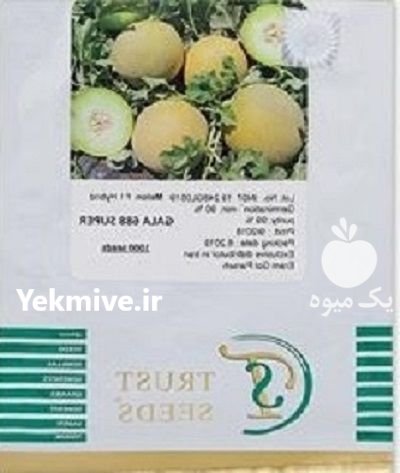 بذر ملون گالا در پیرانشهر در گروه خرید و فروش بذر ملون در یکمیوه -عکس1