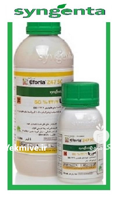 سم ایفوریا سینجنتا در اهرم در گروه خرید و فروش انواع سم در یکمیوه -عکس1