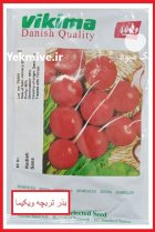 بذر تربچه ویکیما در دیزج دیز در گروه خرید و فروش بذر صیفی جات در یکمیوه